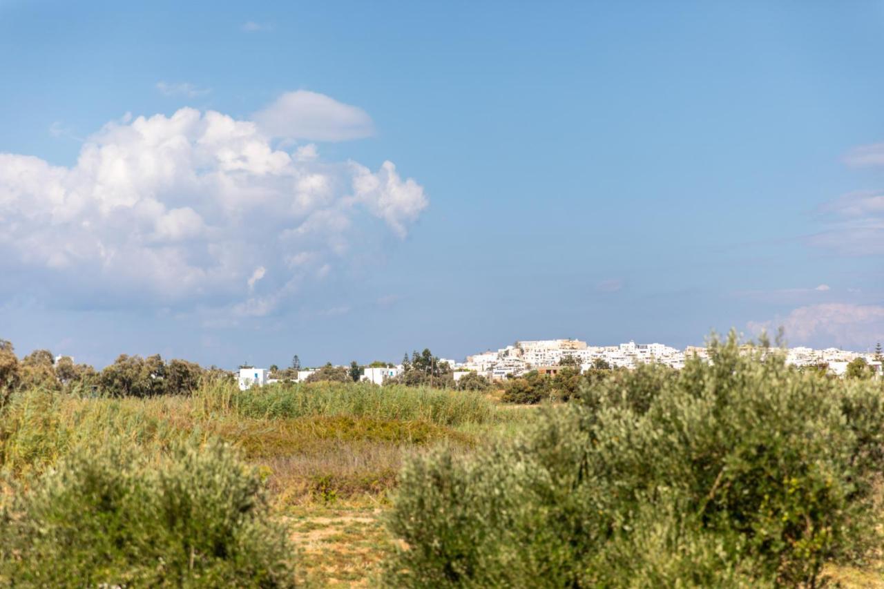 Surfer Paradise Naxos City Exterior foto
